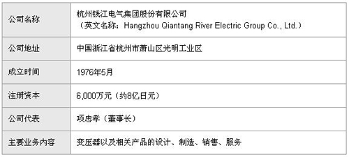 杭州錢江電氣集團(tuán)的公司簡介