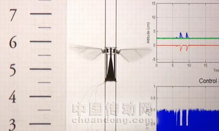 微型飛行機(jī)器人